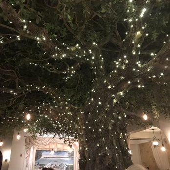 Firefly - Steakhouses Near Me - Panama City Beach, Florida