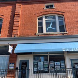 EVOLVE Yoga Wellness Nutrition - View from Bank Street.