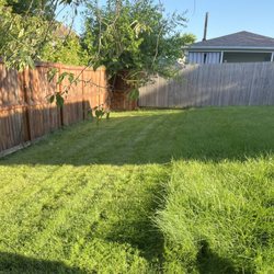 Overgrown grass