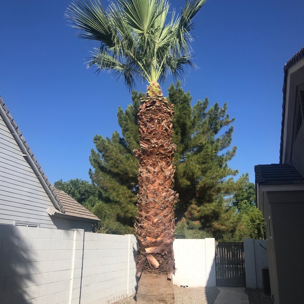 God's Garden Landscaping - After - Tree Services Near Me God's Garden Landscaping - After - Tree Services Near Me