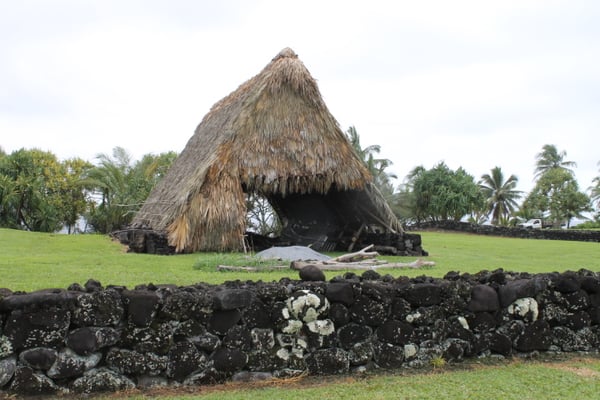 Kahanu Garden, National Tropical Botanical Garden by null