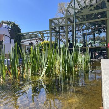 The Flower Fields - water plants and bird cage - Venues & Event Spaces Near Me - Carlsbad, California The Flower Fields - water plants and bird cage - Venues & Event Spaces Near Me - Carlsbad, California