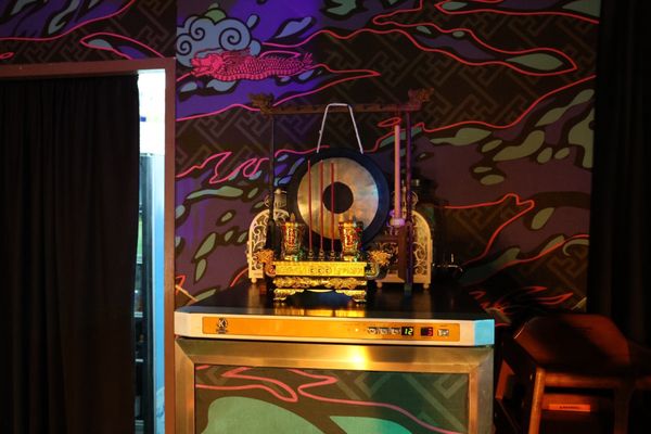 The Dragon Chamber by null