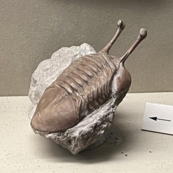 Geology Museum - Museums Near Me - Madison, Wisconsin