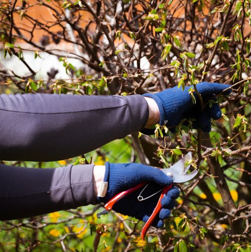 Ben's Lawn service - tree service in Baton Rouge, LA