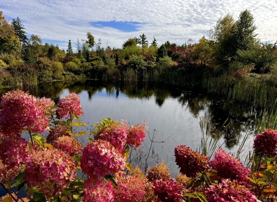 Coastal Maine Botanical Gardens by null