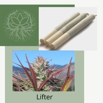 Alive Market CBD - Lifter Prerolls (Available on www.alive-market.com) - Vitamins & Supplements Near Me - Fallbrook, California
