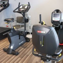Sisu Therapies