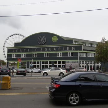 Seattle Aquarium - Aquarium - Aquariums Near Me - Seattle, Washington Seattle Aquarium - Aquarium - Aquariums Near Me - Seattle, Washington