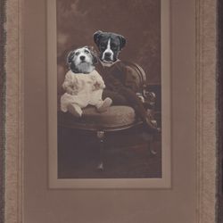 Todd Farm Flea Market - It's a dog's life