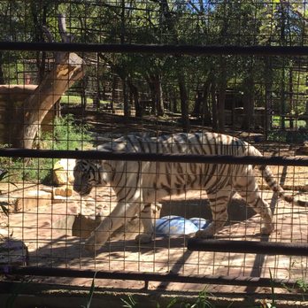 International Exotic Animal Sanctuary - Zoos Near Me International Exotic Animal Sanctuary - Zoos Near Me