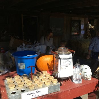 Old Cider Mill - Farmers Market Near Me - Glastonbury, Connecticut