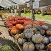 Sunnyside Gardens gift card