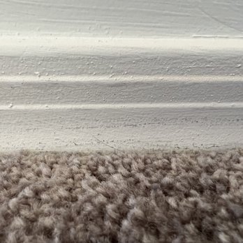 Lion Coat Painting - Painters Near Me
