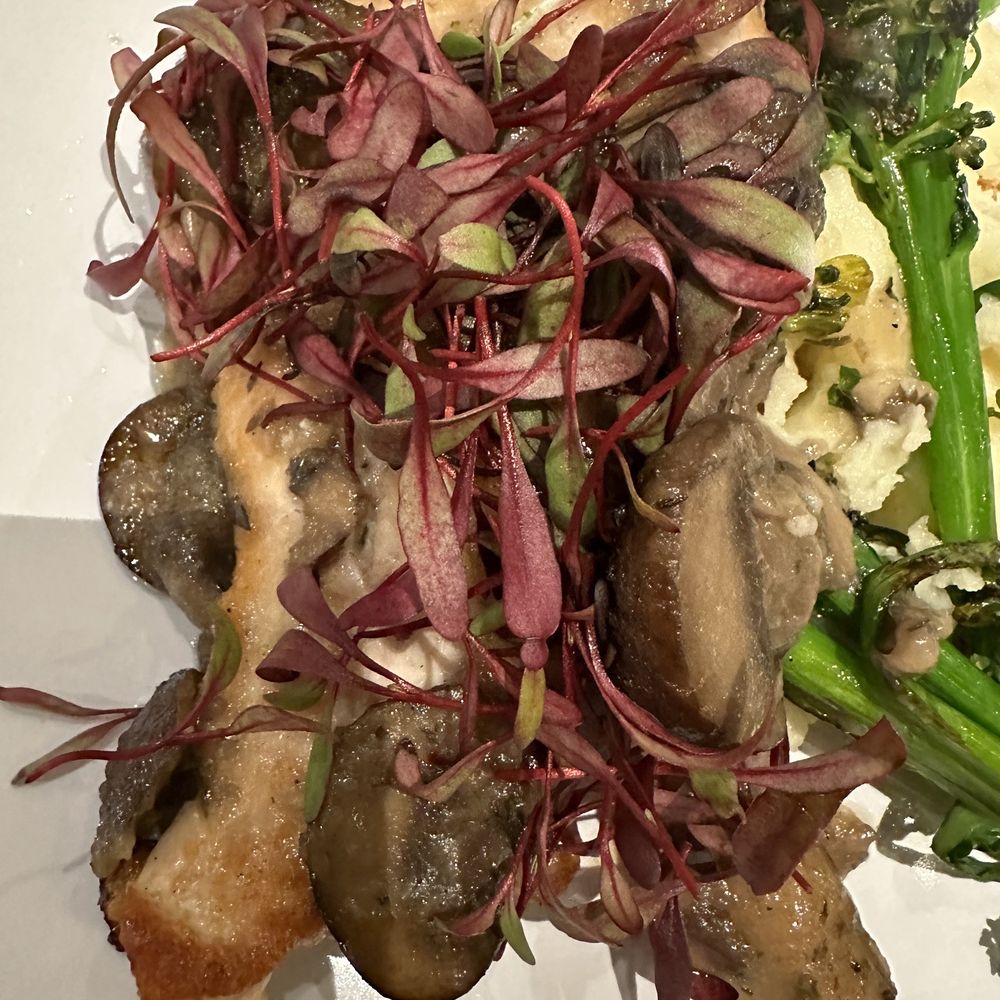 Flow Restaurant and Lounge - Mushroom Chicken - Lounges Near Me - Mendocino, California Flow Restaurant and Lounge - Mushroom Chicken - Lounges Near Me - Mendocino, California