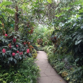 Allan Gardens - Pretty path - Parks Near Me - Toronto, Ontario