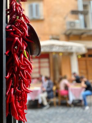 Cantina e Cucina by null