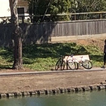 Lakeshore Park - The two teenagers who were attacking the ducks. Apparently they were raised to think it's okay to attack women and defenseless animals. - Parks Near Me - Newark, California