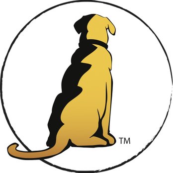 YellowDog Productions - Marketing Near Me - Chesterfield, Missouri YellowDog Productions - Marketing Near Me - Chesterfield, Missouri