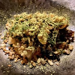 Leila - Charred Cabbage (vadouvan, date, charmoula, allium)