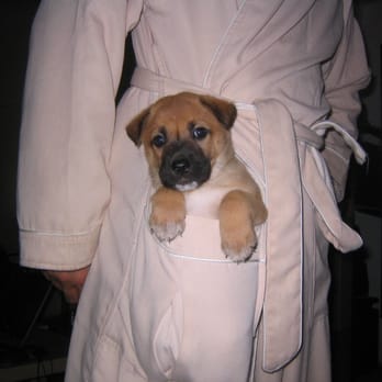 Nathans Pet Care - Pet Sitting Near Me - Austin, Texas Nathans Pet Care - Pet Sitting Near Me - Austin, Texas