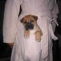Photo of Nathans Pet Care