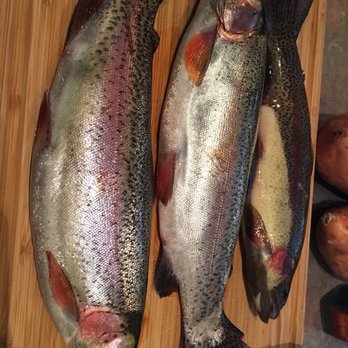 Silverbrook U-Catch Rainbow Trout - Fishing Near Me - Abbotsford, British Columbia Silverbrook U-Catch Rainbow Trout - Fishing Near Me - Abbotsford, British Columbia
