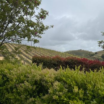 Parrish Family Vineyard - Wine Tasting Room Near Me - Paso Robles, California Parrish Family Vineyard - Wine Tasting Room Near Me - Paso Robles, California