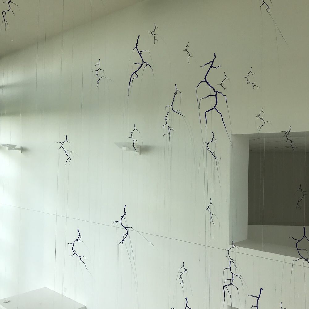 Frost Art Museum - Art Museums Near Me - Miami, Florida