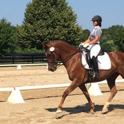 Roses To Reins
