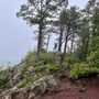 Prospector's Paradise