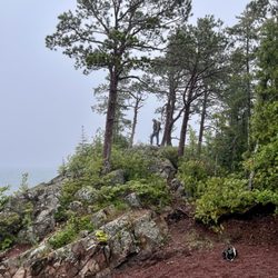Prospector's Paradise