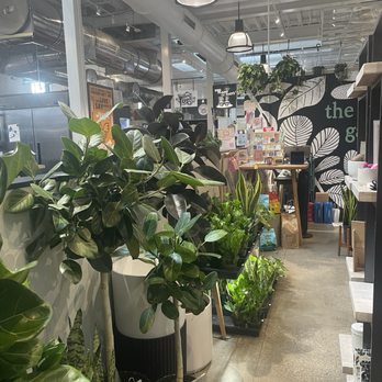 The Plant Gays - Nurseries & Gardening Near Me - Columbus, Ohio The Plant Gays - Nurseries & Gardening Near Me - Columbus, Ohio