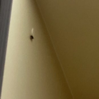 LA Fitness - Roach in locker again - Gyms Near Me - Waldorf, Maryland