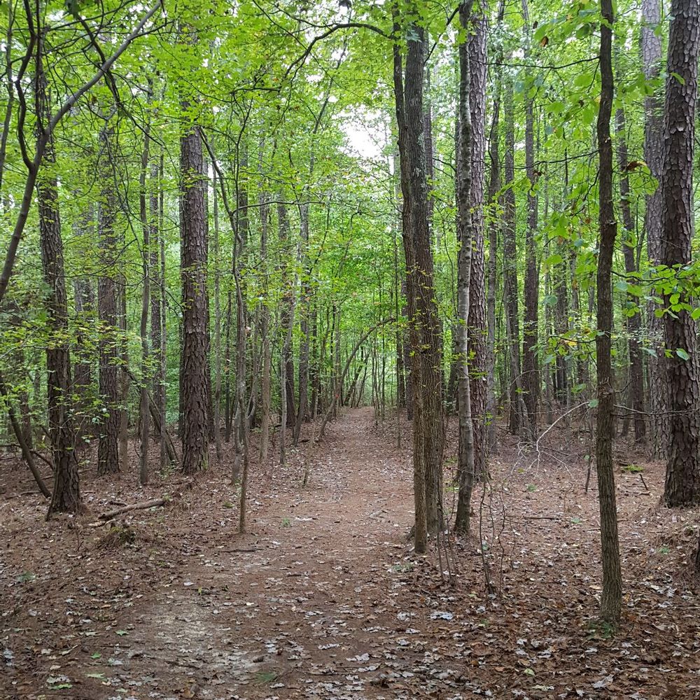 William B Umstead State Park - One with nature - Hiking Near Me - Raleigh, North Carolina William B Umstead State Park - One with nature - Hiking Near Me - Raleigh, North Carolina