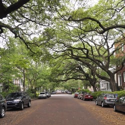 RedCap Savannah - Our City