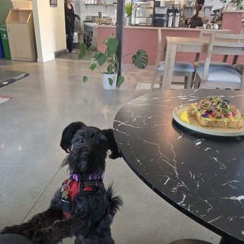 Soul Blends - Puppy Friend - Coffee & Tea Near Me - Oakland, California