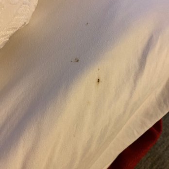 Hampton Inn Slidell - Cigarette burn? Blood stain? I didn't taste it to find out. - Hotels Near Me - Slidell, Louisiana