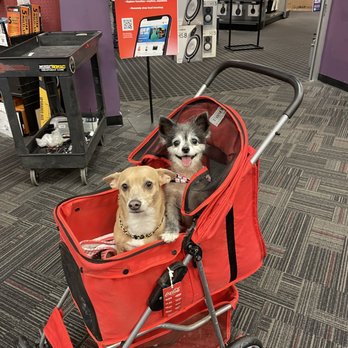Guitar Center - Waiting for our guitar, that Damian is boxing up. - Musical Instruments & Teachers Near Me - San Bernardino, California Guitar Center - Waiting for our guitar, that Damian is boxing up. - Musical Instruments & Teachers Near Me - San Bernardino, California