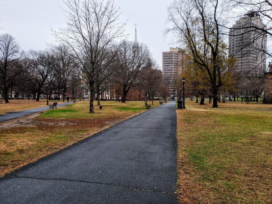 New Haven Green by null