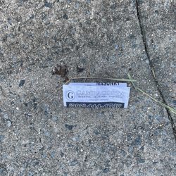 Gambacorta Construction Company - Litter
