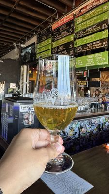 The Wandering Tortoise by null