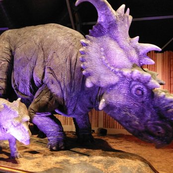 Field Museum - "Petting zoo" area - Museums Near Me - Chicago, Illinois