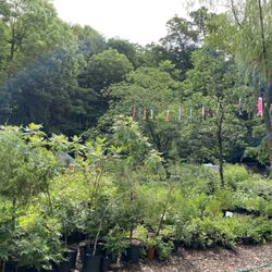 One Nature Plant Nursery