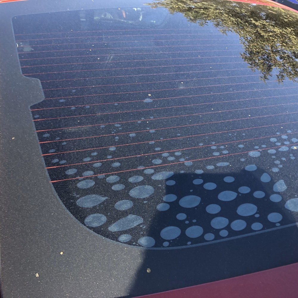 Transhine - Auto Detailing Near Me - Whittier, California Transhine - Auto Detailing Near Me - Whittier, California