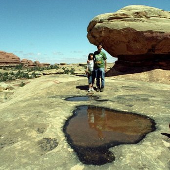 Newspaper Rock State Historic Monument - About an hour or so after viewing Newspaper Rock, we toured Elephant Hill. Here we are at Elephant Hill - Landmarks & Historical Buildings Near Me Newspaper Rock State Historic Monument - About an hour or so after viewing Newspaper Rock, we toured Elephant Hill. Here we are at Elephant Hill - Landmarks & Historical Buildings Near Me