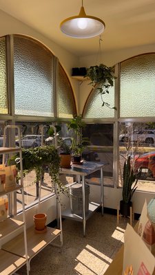 Slow Bloom Coffee Cooperative by null