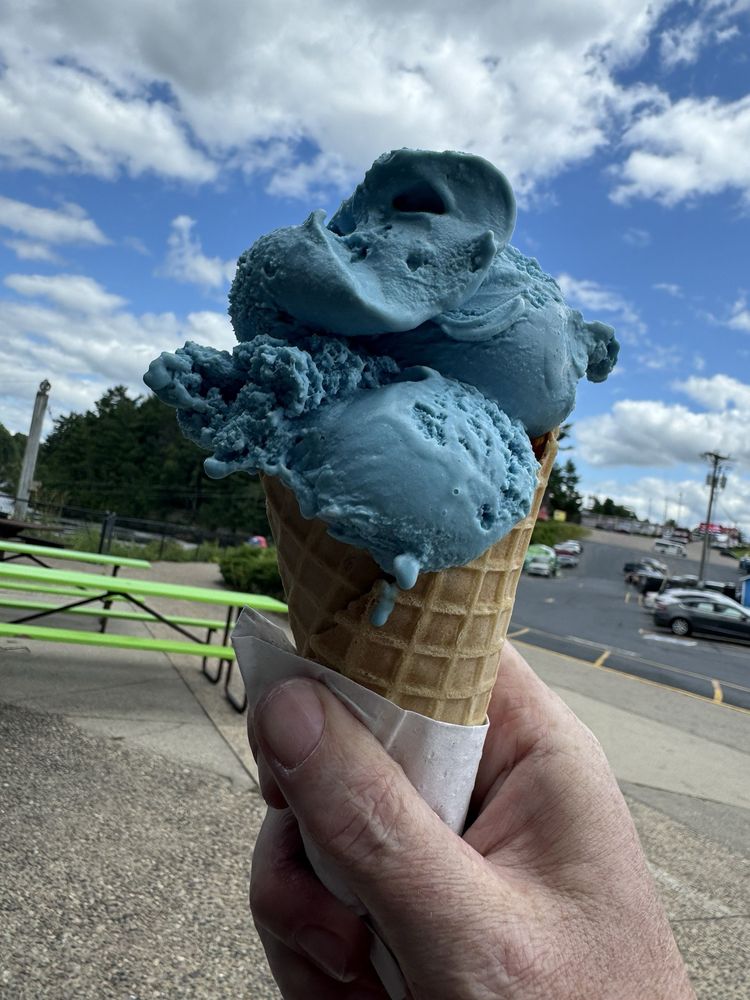 DAILY SCOOP ICE CREAM STORE Updated September 2024 29 Photos 2370