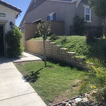 Vivid Turf - Artificial Turf Near Me - Huntington Beach, California