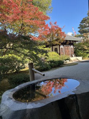 Kenninji Temple by null